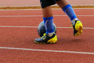 星空app官方下载-乒乓德甲俱乐部商业破局的挑战与机遇，德国乒乓球联赛收入