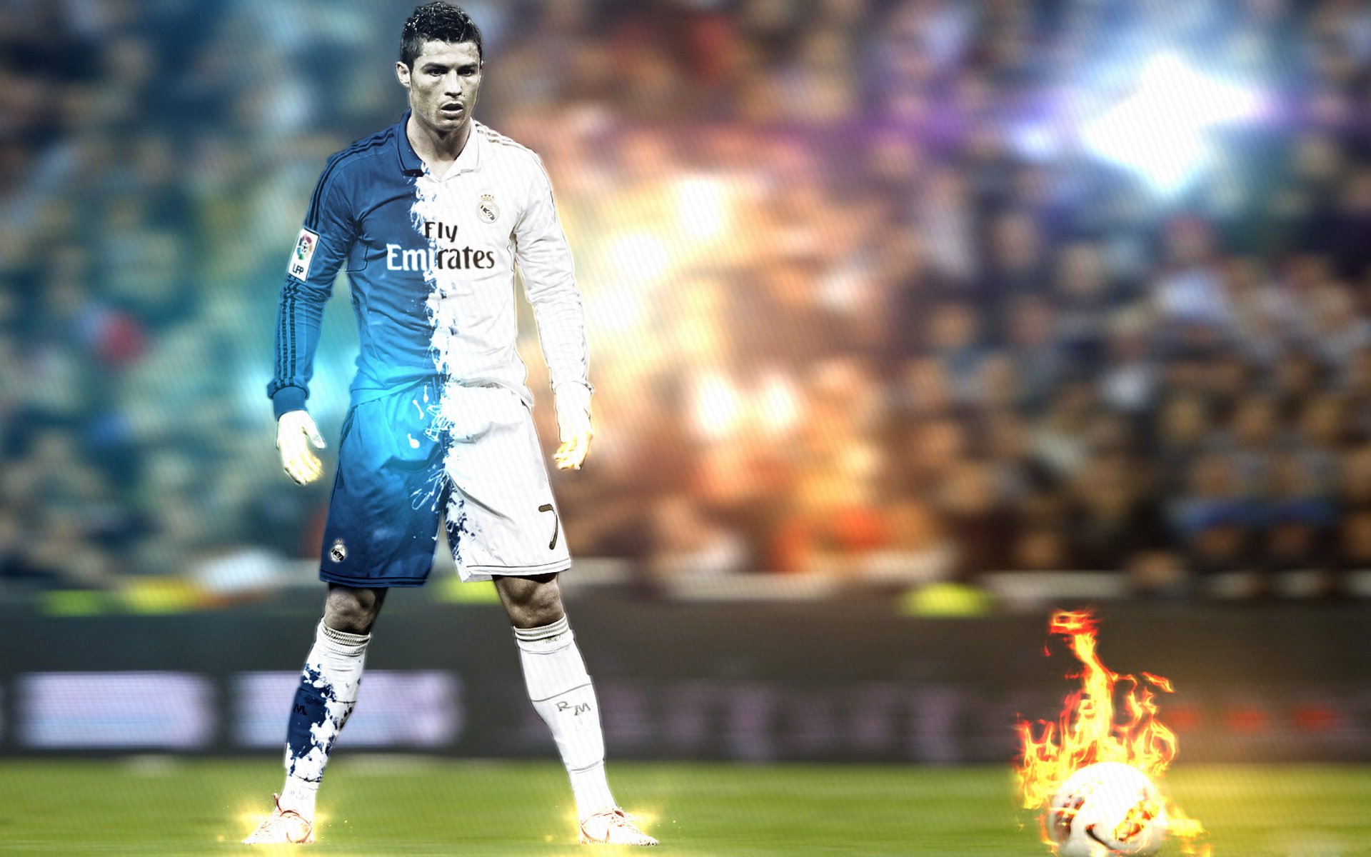 警犬退役纪念趣味赛 老战友们最后一次共同冲线